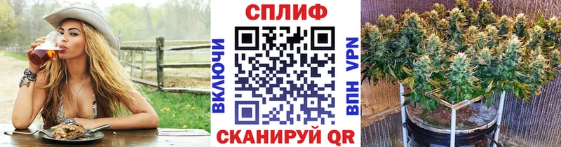 блэк спрут как зайти  цены наркотик  Зима  Бошки Шишки ГИДРОПОН 